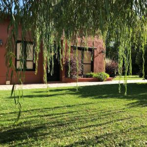 una casa con un árbol delante de un patio en Cabañas La Cosecha en San Rafael