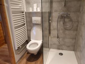 a small bathroom with a toilet and a shower at 130m2 ,5 chambres, trés bien situé in Les Deux Alpes +41 photos