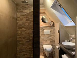 a bathroom with a toilet and a sink and a skylight at Agapanthus bed and breakfast in Hoogkarspel +28 photos