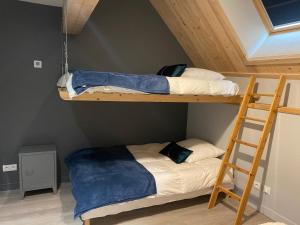 2 stapelbedden in een kamer met een ladder bij VENOSC Le Haut de la Grange in Les Deux Alpes