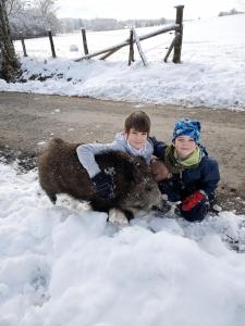 Otroci med bivanjem v nastanitvi gîte Le cheval ardennais