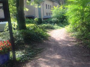 Ein Garten an der Unterkunft FeWo im Grünen mit Terrasse und Garten - gratis Therme