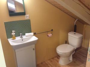 a bathroom with a toilet and a sink at Le Carré gourmand in Le Chambon-sur-Lignon
