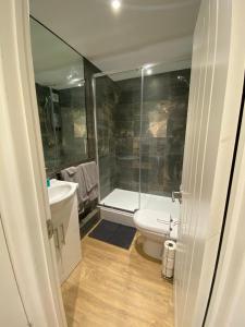 a bathroom with a shower and a toilet and a sink at Arragon Short-Stay Apartments in Waterlooville