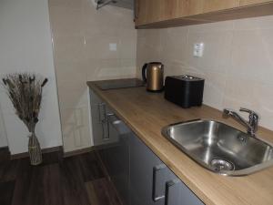 a kitchen with a sink and a toaster on a counter at Apartmány Černý Tulipán 4 in Pilsen