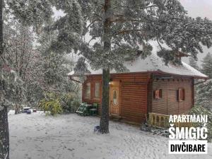 a cabin in the snow with a tree in front at Apartmani Smigic Divcibare in Divčibare