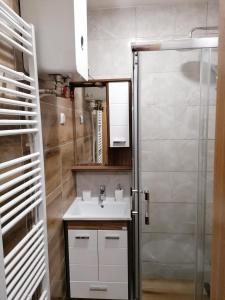 Koupelna v ubytování APARTMANI POLARIS JAHORINA