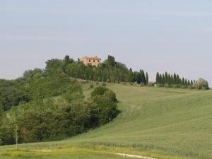 a house on top of a hill in a field at Villa Il Colle di Monteaperti in Casetta
