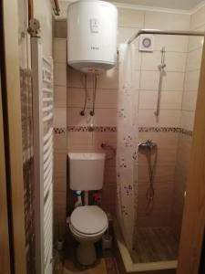 Koupelna v ubytování Villa Franka - Vlašić + 23 fotografií