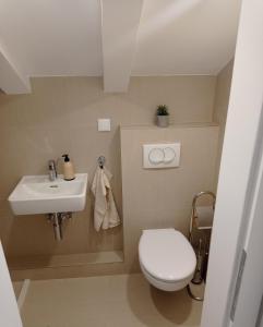 a small bathroom with a toilet and a sink at Apartment Lucija with sea view in Dubrovnik