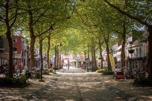 een met bomen omzoomde straat in een stad met tafels en stoelen bij Stadslogement de Wolkeamer in Drachten