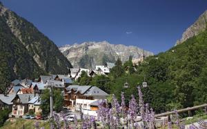 a village in the mountains with purple flowers at VENOSC Le Haut de la Grange in Les Deux Alpes