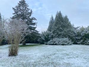 Spacieuse maison dans un parc privée durante l'inverno