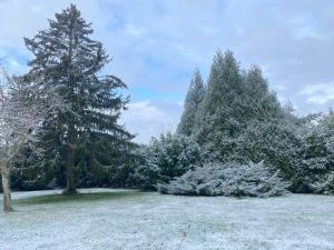 un gruppo di alberi in un campo ricoperto di neve di Spacieuse maison dans un parc privée a Vareilles