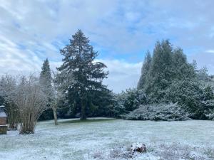 Spacieuse maison dans un parc privée durante l'inverno