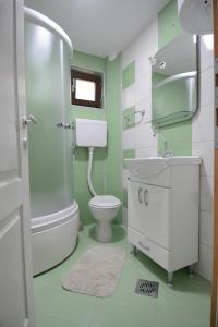 uma casa de banho com um WC, um lavatório e um chuveiro em Apartmani Ogi i Ana em Bajina Bašta