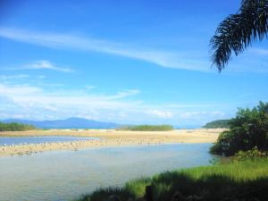 a flock of birds sitting on a beach at Estaleiro das Artes. in Florianópolis