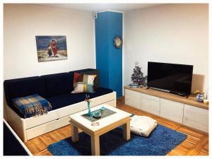 a living room with a couch and a flat screen tv at Vila Jelena, Tara in Kaludjerske Bare