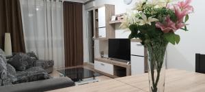 A television and/or entertainment centre at Apartamento Torrevieja