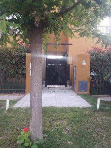 un árbol frente a un edificio con una puerta en DptosECONOMICOS1 en Necochea