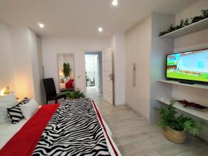 A television and/or entertainment centre at Plaza San Marcos CASCO HISTORICO