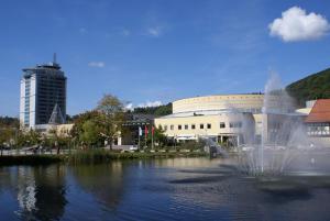 ein Springbrunnen im Wasser vor einem Gebäude in der Unterkunft City Hotel Suhl in Suhl