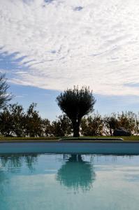 una grande piscina d'acqua con un albero sullo sfondo di Palazzo Rosso a Riposto