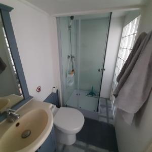 La salle de bains est pourvue de toilettes, d'une douche et d'un lavabo. dans l'établissement Studio indépendant centre ville Aix les bains, à Aix-les-Bains