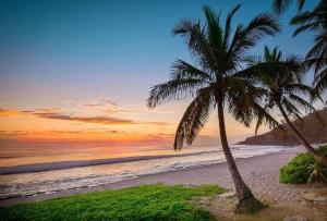 a couple of palm trees on a beach at sunset at Villa Créole Alamanda in Petite Île