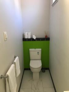 a bathroom with a white toilet and a green wall at City central apartment – modern, private & quiet in Invercargill