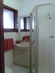 ein Bad mit einem Waschbecken und einer Dusche in der Unterkunft Elsinor Motor Lodge in Wollongong