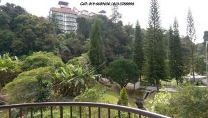 Příroda nedaleko apartmánu