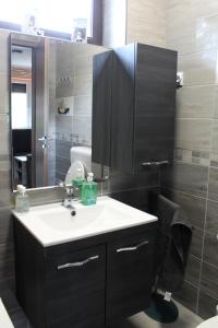 a bathroom with a sink and a mirror at Tisza Villa in Abádszalók