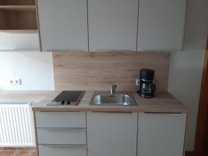 Kuchyň nebo kuchyňský kout v ubytování Gapphof