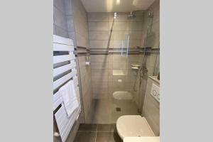 a white bathroom with a toilet and a shower at Le Continental Beau T2 plein centre + parking in Annecy +35 photos