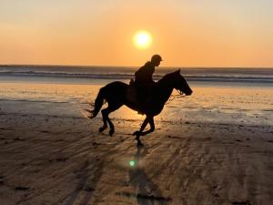 Photo de la galerie de l'établissement Ranch de Sidi kaouki, à Essaouira