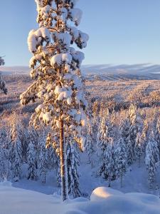 Mysig lägenhet med fjällutsikt i Sälen ziemā