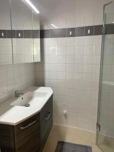 ein Bad mit einem Waschbecken und einer Dusche in der Unterkunft Amadeus Apartment in Baden