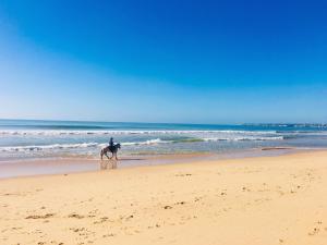 uma pessoa a montar um cavalo na praia em Regenbogen Properties - Salgados Vila das Lagoas em Albufeira