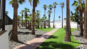 ein Weg durch Palmen am Strand in der Unterkunft Coral Friendly Holiday Home in Playa del Ingles