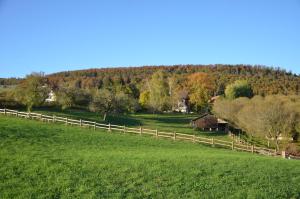 Příroda nedaleko bed and breakfast