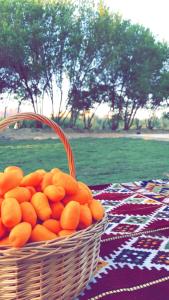 un panier d'oranges assis sur une table dans l'établissement الكوخ الريفي, à Madain Saleh