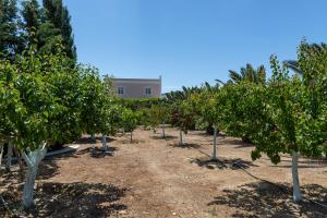A garden outside Villa Casa Del Sol Syros