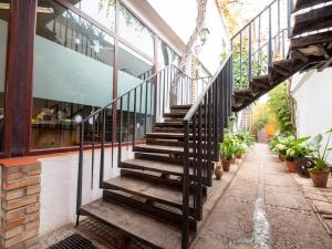 a set of stairs outside of a building with plants at Hostal Santiago in Écija