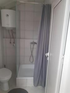 a bathroom with a shower curtain and a toilet at Veliki Park in Šabac