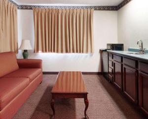 Posezení v ubytování Econo Lodge Inn & Suites