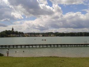 a dock on a lake with people in the water at Apartmenthaus Feldberg in Feldberg