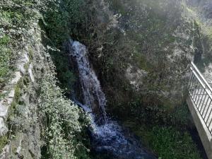 Príroda v okolí dovolenkového domu