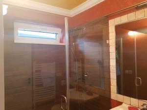 baño con ducha y puerta de cristal en Ostravice Apartment en Ostravice
