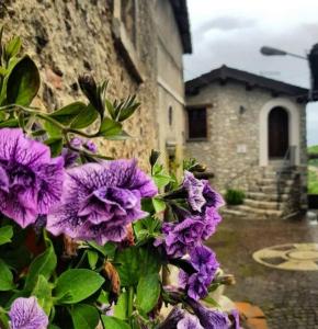 a bunch of purple flowers in front of a building at B&B Leofreni Natura in Leofreni